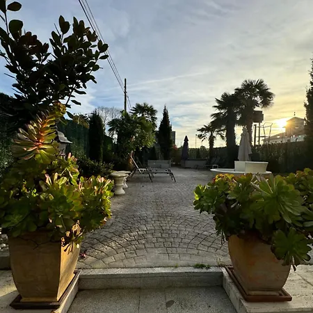 Rosa Bella * Poo De Llanes