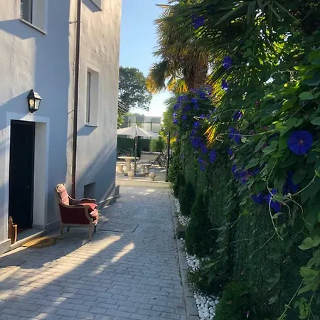 Rosa Bella * Poo De Llanes