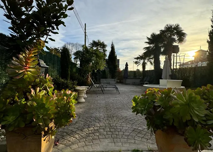 Rosa Bella * Poo De Llanes